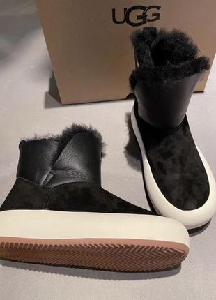 Ugg уггі зимові черевики овчина3 фото