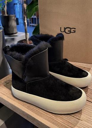 Ugg уггі зимові черевики овчина1 фото