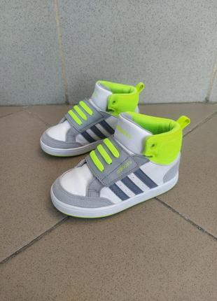 Кеды adidas.