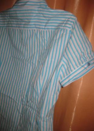 Хлопок 100% светло-голубая в полоску рубашка блузка короткий рукав км1896 большой размер 4210 фото