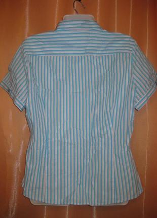 Хлопок 100% светло-голубая в полоску рубашка блузка короткий рукав км1896 большой размер 426 фото