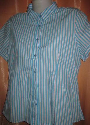 Хлопок 100% светло-голубая в полоску рубашка блузка короткий рукав км1896 большой размер 422 фото