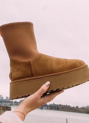 Уггі ugg chaussons en peau de mouton beige femme