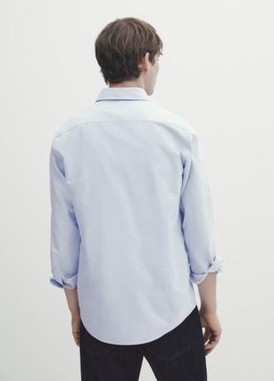 Рубашка мужская оксфорд классическая голубая белая из хлопка massimo dutti2 фото