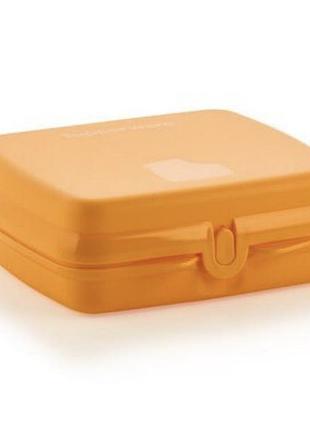 Ланс бокс tupperware