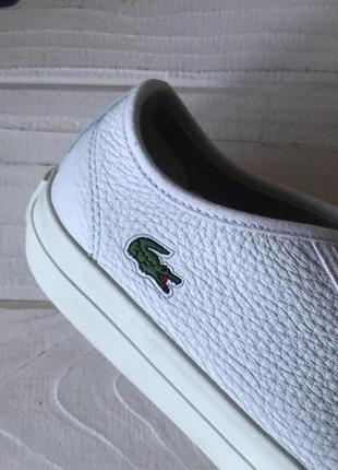 Кожаные кеды lacoste topskill 07212 фото