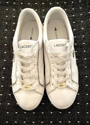 Шкіряні білі кеди lacoste