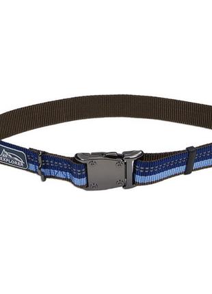 Світловідбивний нашийник для собак coastal k9 explorer collar 2.5х46-66 см сапфіровий (76484369230)