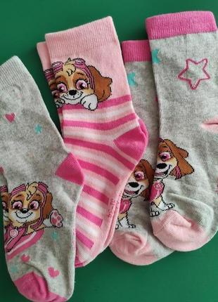 Детские носки набор щенячий патруль скай собачка disney 31-34