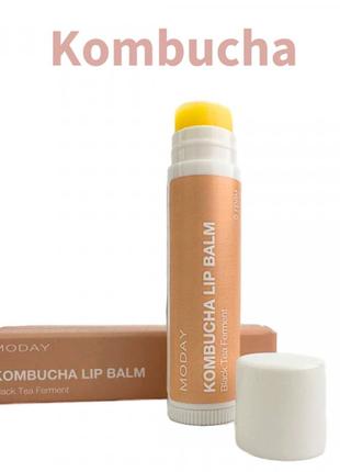 Натуральный бальзам для губ moday kombucha lip balm на основе ферментированного черного чая и пчелиного воска1 фото