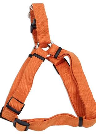 Екошлея для собак coastal new earth soy dog harness жовтогарячий см. l для собак 204-453 кг (76484149535)