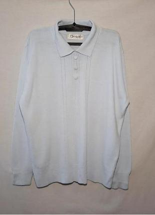 Блакитний джемпер з комірцем