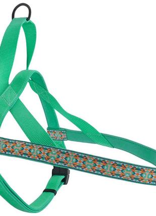 Шлея для собак coastal ribbon weave harness с косточками xxs 1,6х35-40 см темно-бирюзовый (76484154119)