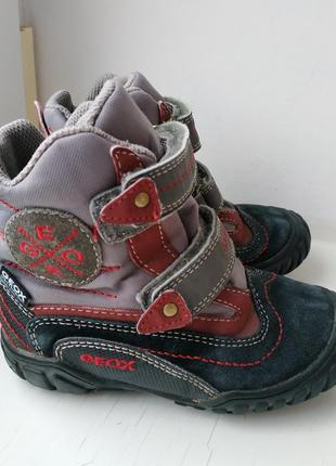 Демисезонные кожаные ботинки geox 25р. 16.8 см.3 фото