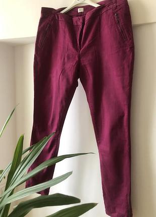 Штани жіночі