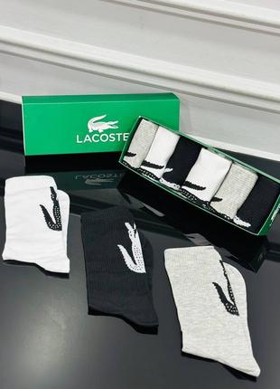 Набір білий чорний сірих шкарпеток чоловічих lacoste набір із 6 пар лакосту