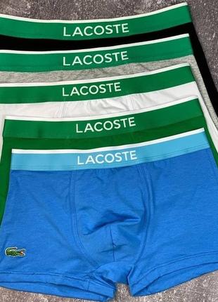 Комплект мужских трусов lacoste 5 шт, качественные трусы лакоста