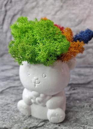 Стабилизированный мох особый подарок разноцветный мох в кашпо кашпо мишка1 фото