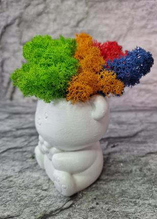 Стабилизированный мох особый подарок разноцветный мох в кашпо кашпо мишка4 фото