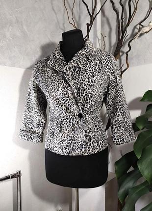 Леопардовый котоновый пиджак1 фото