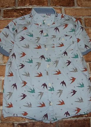 Рубашка тениска мальчику хлопковая 10 лет next