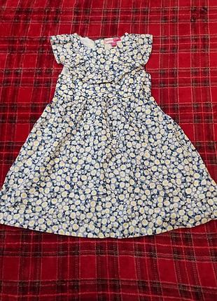 Сукня penelope mack ltd сукня в ромашку