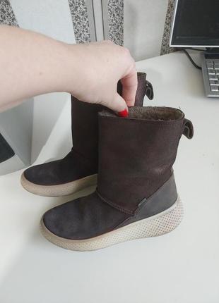 Зимові черевики ecco