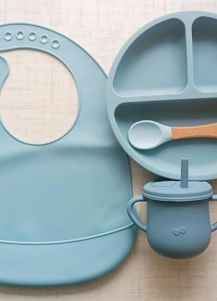 Силіконова секційна тарілка на присосках