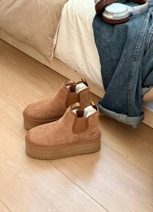 Стильные угги ugg на платформе черного и песочного цветов🤩