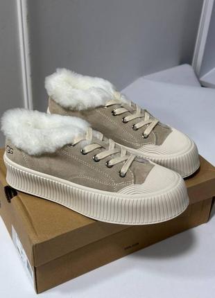 Зимові кеди ugg