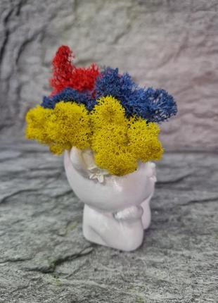 Стабилизированный мох кашпо в форме девочки с короной цветной декоративный мох декор для дома подарок маме7 фото
