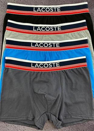 Чоловічі труси 5шт lacoste у подарунковій упаковці.u843 фото