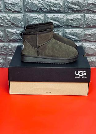 Женские угги ugg низкие на меху6 фото