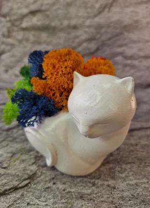 Стабілізований мох кіт кашпо з мохом фігурка з мохом декор інтер'єру оригінальний подарунок6 фото
