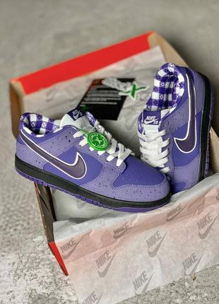 Кроссовки nike sb dunk low violet lobster