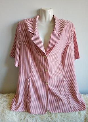 Блуза полосатая, canda, р. 16/xxl