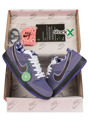 Кросівки nike sb dunk low violet lobster