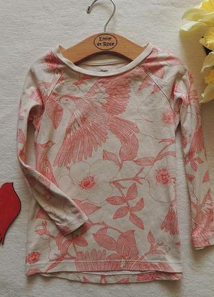 Реглан 3-4 года