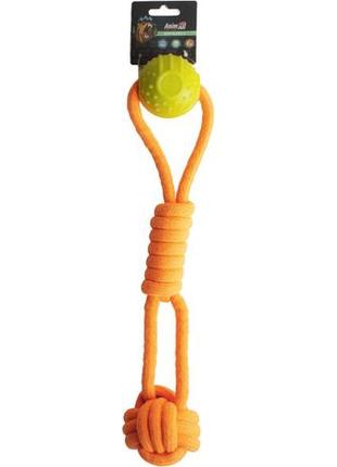 Інтерактивна іграшка animall grizzzly канат з м'ячиком 41х7х7 см orange/yellow (6914068019864)