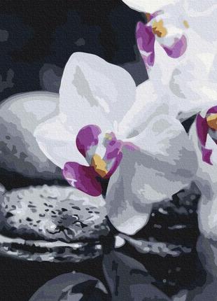 Картины по номерам "цветы дзена" раскраски по цифрам. 40*50 см.украина