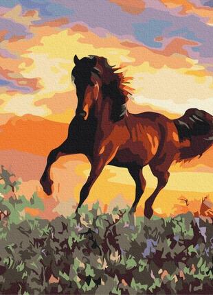 Картины по номерам "лошадь" раскраски по цифрам.40*50 см.украина