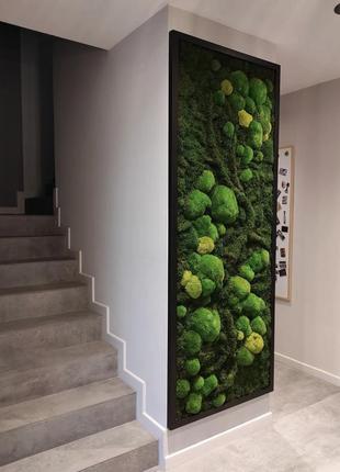 Панно мох+растения