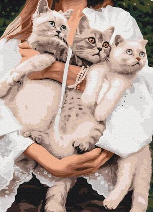 Картини за номерами "улюблені муркотики" розмальовки за цифрами.40*50 см.україна