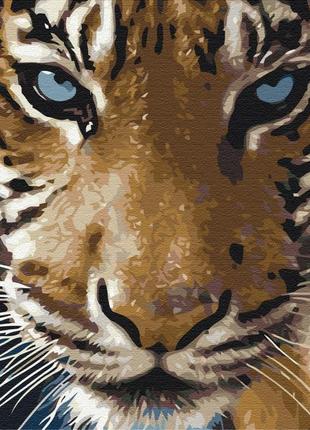 Картины по номерам "взгляд тигра" раскраски по цифрам.40*50 см.украина