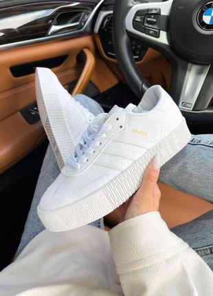 Чоловічі / жіночі кросівки  adidas samba all white шкіра