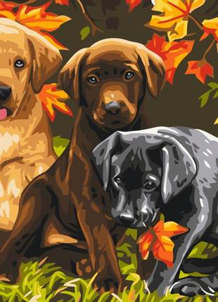 Картини за номерами "три цуценята" розмальовки за цифрами.40*50 см.україна