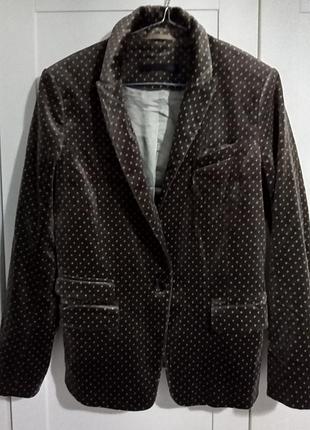 Натуральный бархатный велюровый пиджак блейзер со звездами set