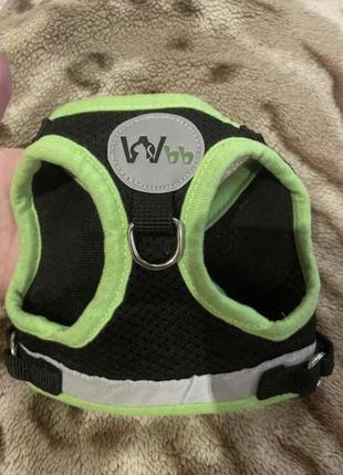 Шлейка жилет для маленьких собак