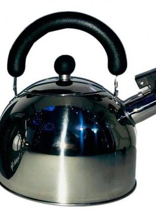 Чайник зі свистком, з неіржавкої сталі для електричних і газових плит rainberg pg-596 rb-626 3 л