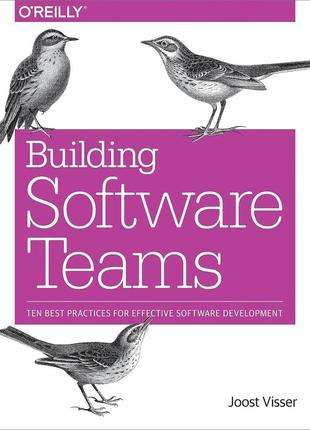 Building software teams: ten best practices for effective software development, joost visser, sylvan rigal,